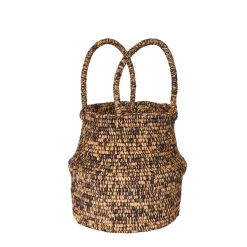 Bahia - Small